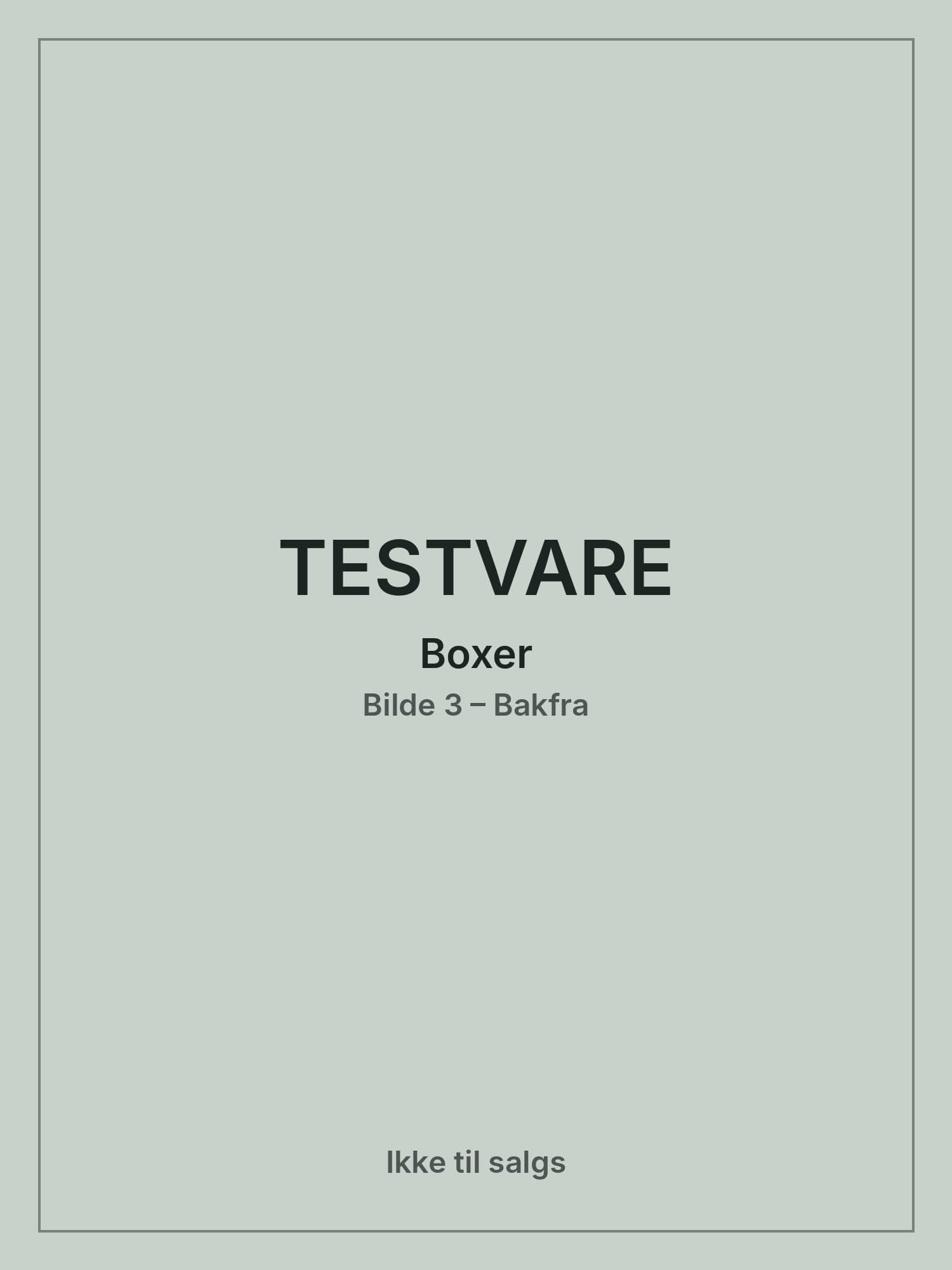 TESTVARE – Boxer herre, Bilde 3 av 6