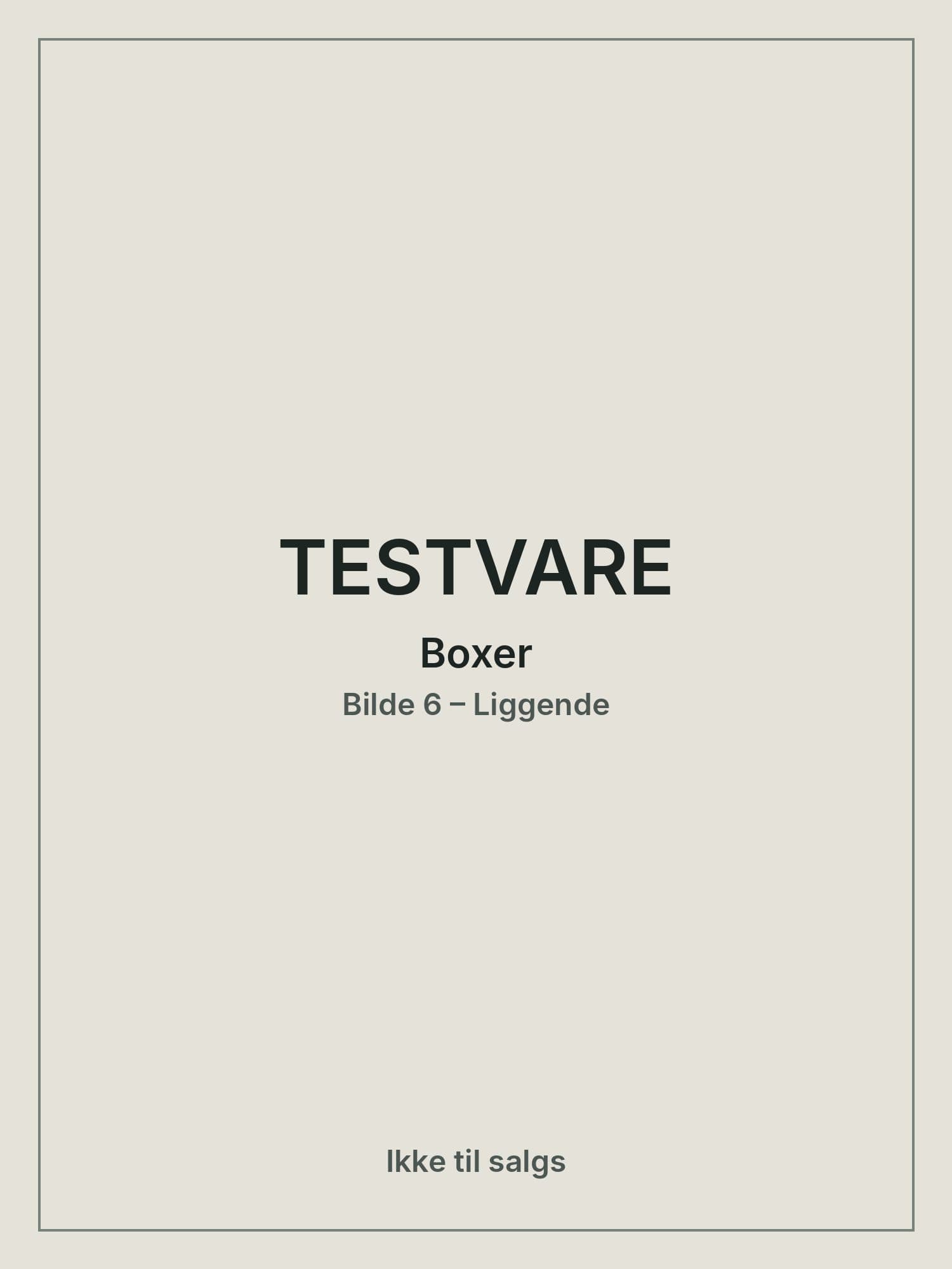 TESTVARE – Boxer herre, Bilde 6 av 6