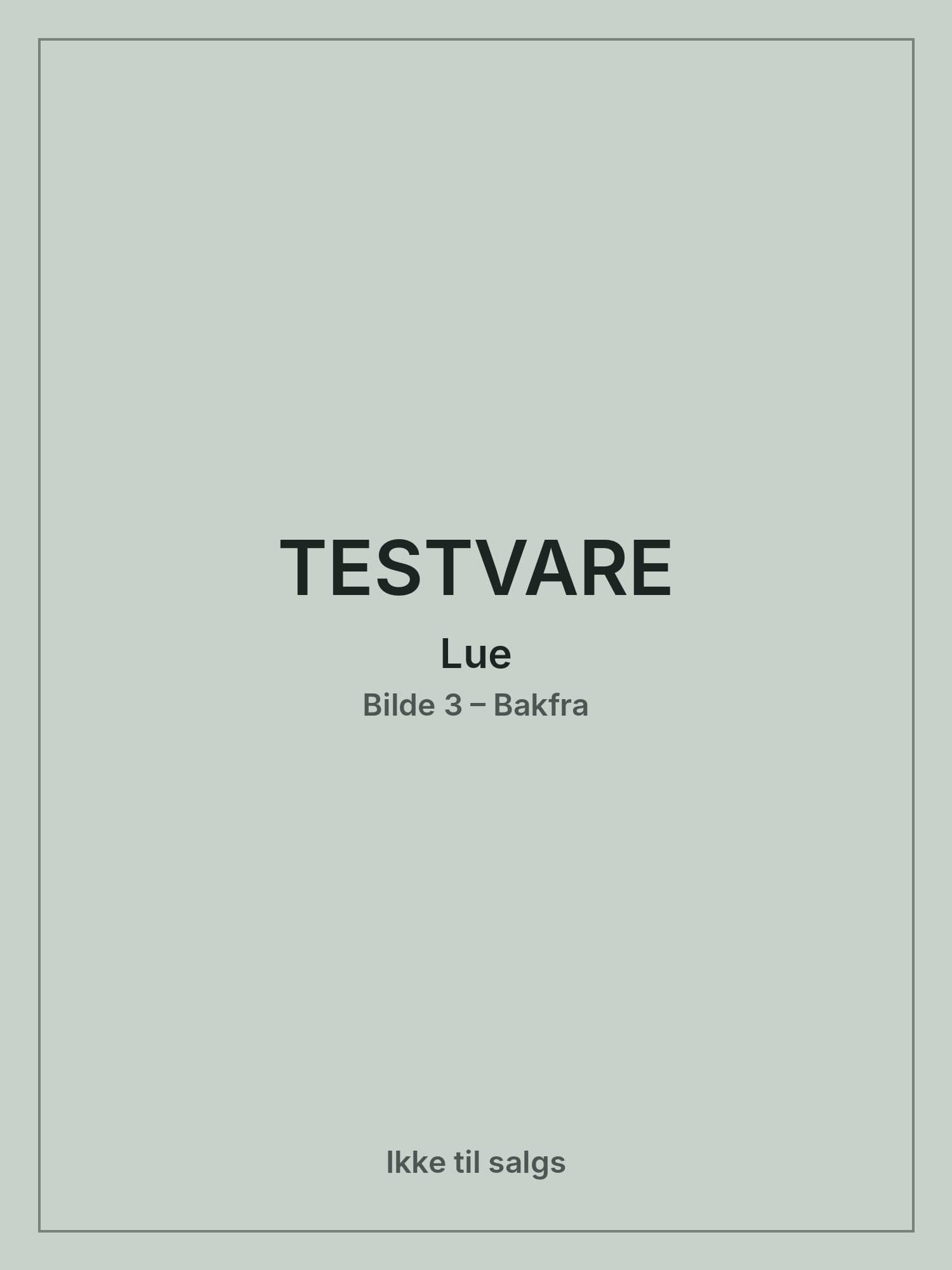 TESTVARE – Lue, Image 3 of 6